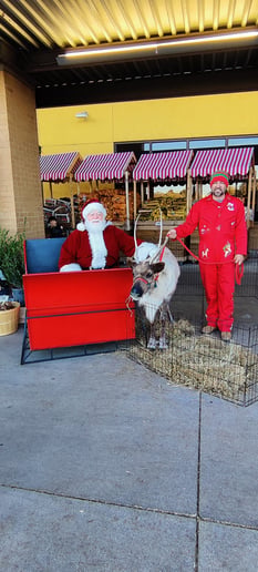 Gallery photo 8 of Santa Doug FW