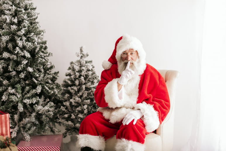 Gallery photo 1 of Santa Drew