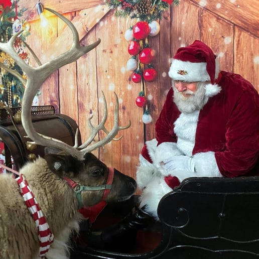 Gallery photo 3 of Santa Duff