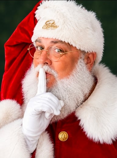 Gallery photo 2 of Santa Duff