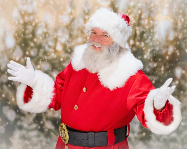 Gallery photo 4 of Santa Duke