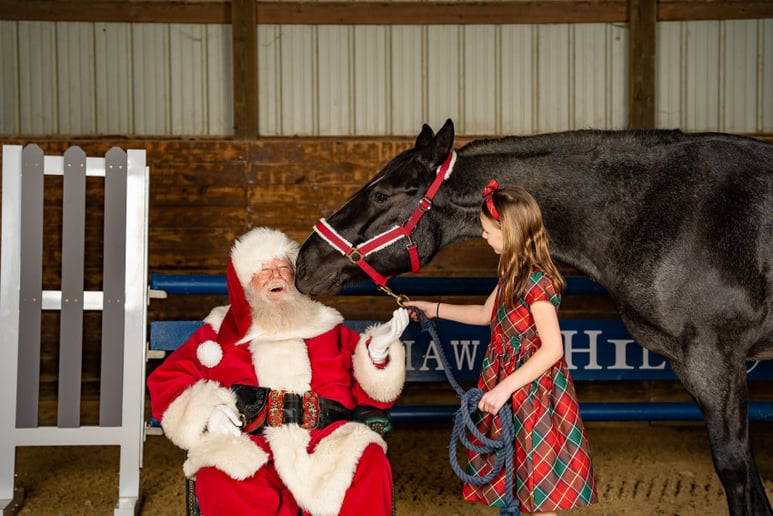 Gallery photo 12 of Santa Dutch
