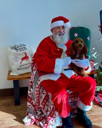 Gallery photo 5 of Santa Dwight