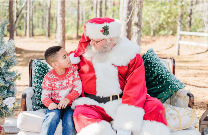 Gallery photo 5 of Santa Earl