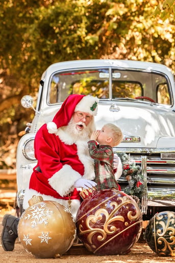 Gallery photo 15 of Santa Ed Hatz