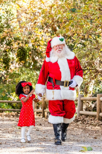 Gallery photo 17 of Santa Ed Hatz