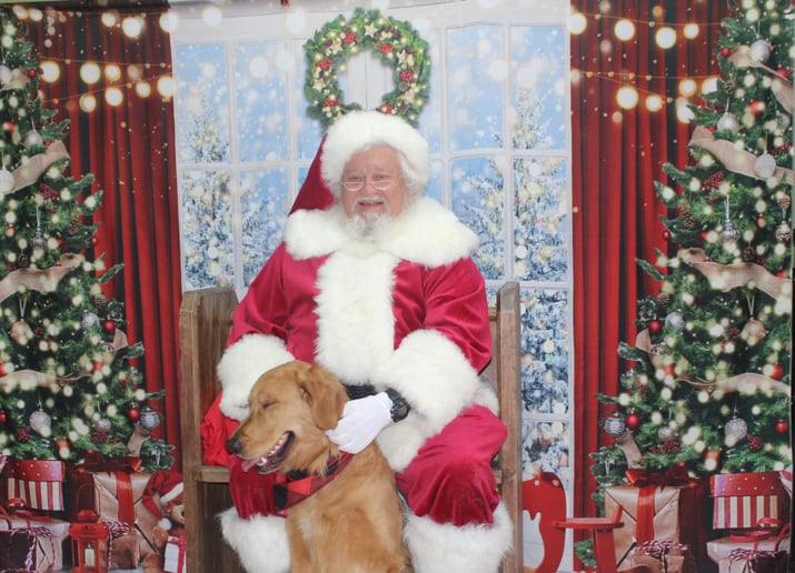 Gallery photo 2 of Santa Ed