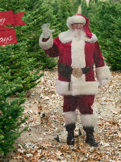 Gallery photo 5 of Santa Ed