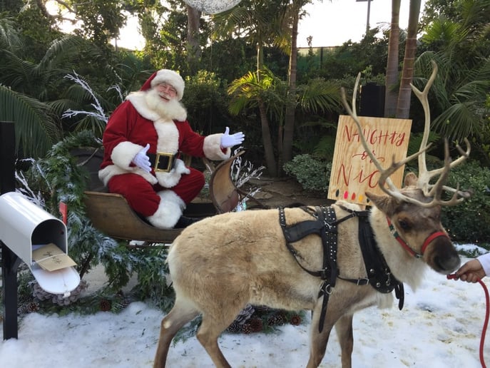 Gallery photo 52 of Santa Ed Taylor