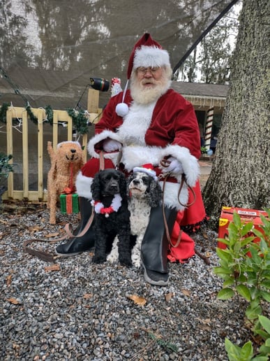 Gallery photo 2 of Santa Eddie