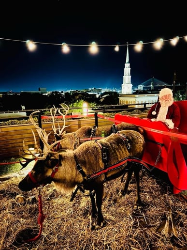 Gallery photo 5 of Santa Eddie