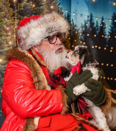 Gallery photo 14 of Santa Jeffy