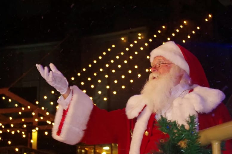 Gallery photo 8 of Santa Entertainment