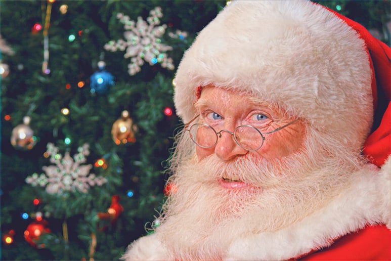 Gallery photo 1 of Santa Entertainment