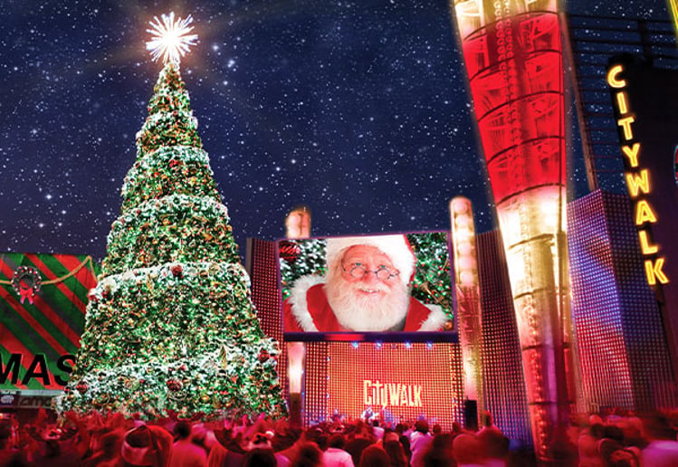 Gallery photo 3 of Santa Entertainment
