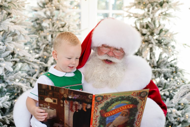 Gallery photo 3 of Santa Tripp
