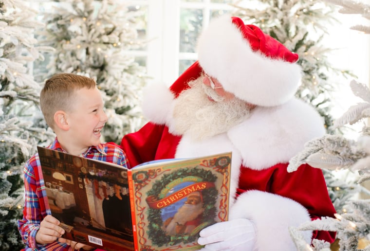 Gallery photo 7 of Santa Tripp