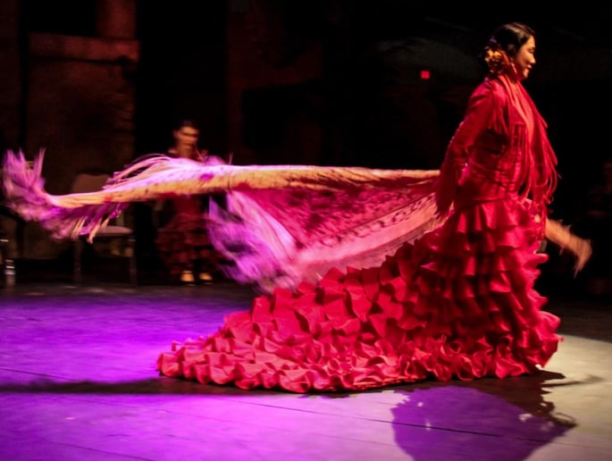Gallery photo 2 of Mina Fajardo Flamenco Santa Fe