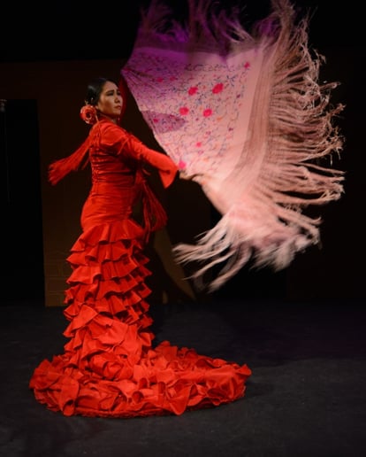 Gallery photo 5 of Mina Fajardo Flamenco Santa Fe