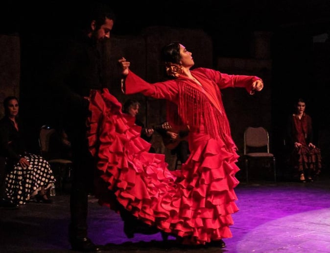 Gallery photo 6 of Mina Fajardo Flamenco Santa Fe