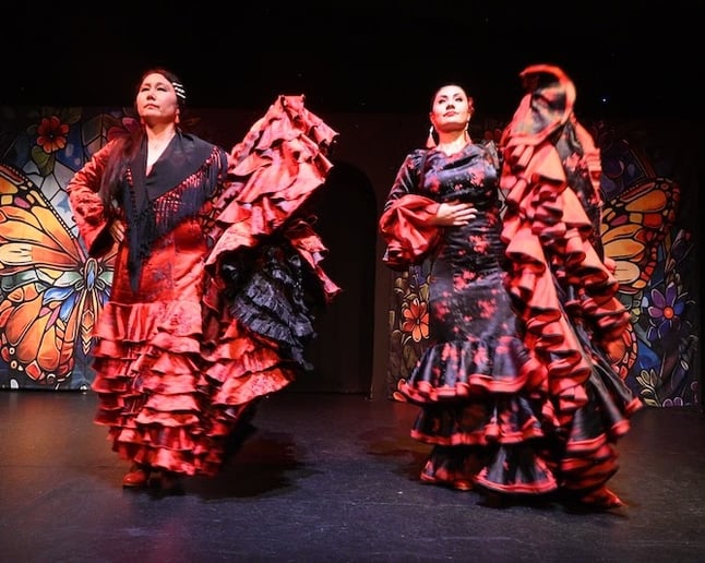 Gallery photo 8 of Mina Fajardo Flamenco Santa Fe