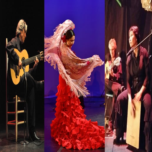 Gallery photo 10 of Mina Fajardo Flamenco Santa Fe