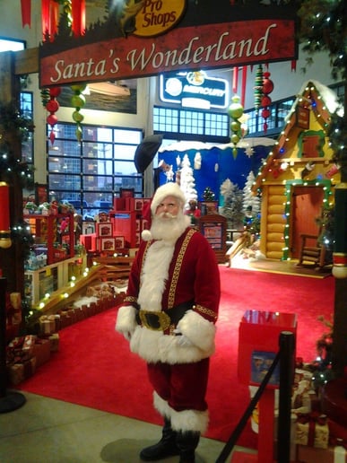 Gallery photo 9 of Santa for all Holiday Events & Weddings