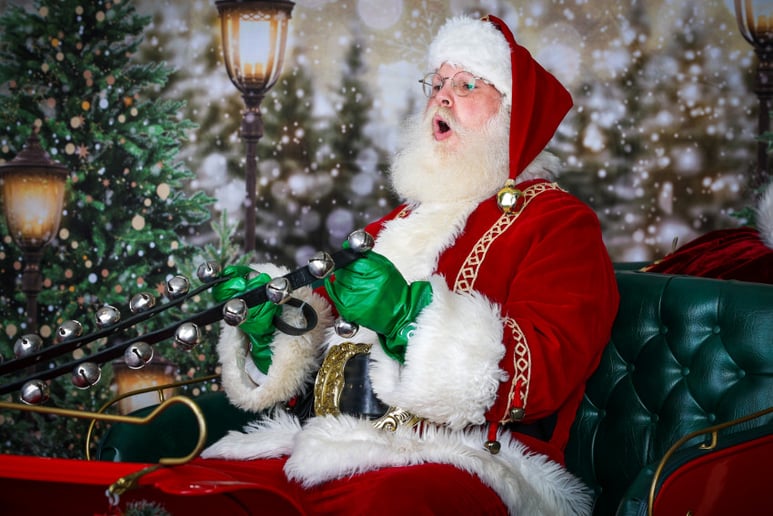Gallery photo 2 of Santa for all Holiday Events & Weddings