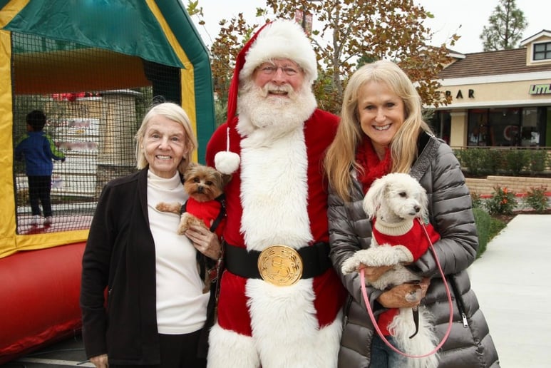 Gallery photo 7 of Santa Bob