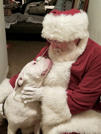 Gallery photo 27 of Santa Bob