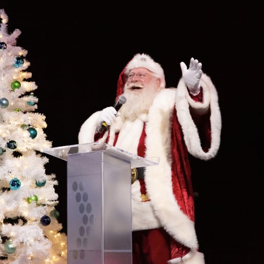 Gallery photo 43 of Santa Bob