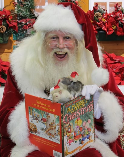 Gallery photo 2 of Santa for the Holidays