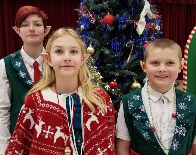 Gallery photo 14 of Santa for the Holidays