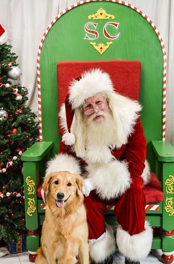 Gallery photo 10 of Santa for the Holidays