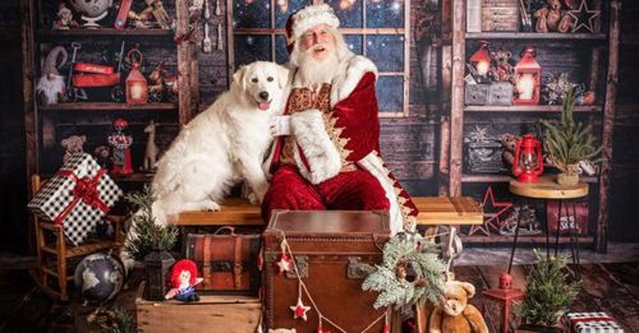 Gallery photo 22 of Santa for the Holidays