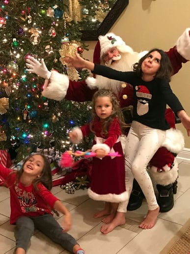 Gallery photo 7 of Santa For Your Party