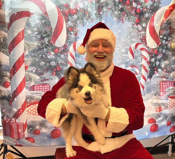 Gallery photo 6 of Santa Force