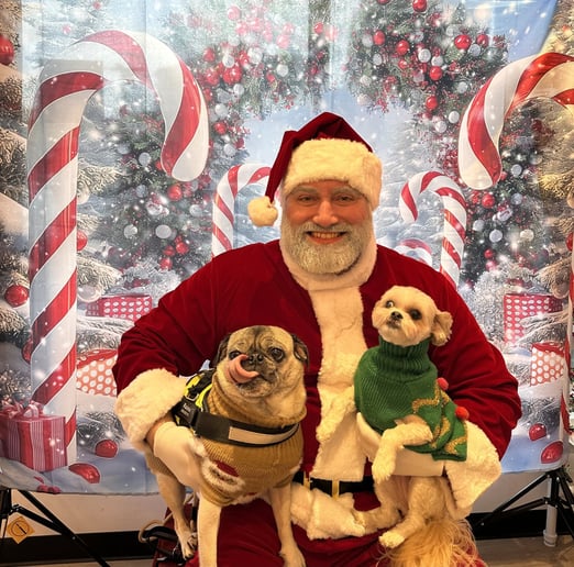 Gallery photo 1 of Santa Force