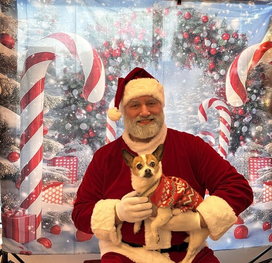 Gallery photo 7 of Santa Force