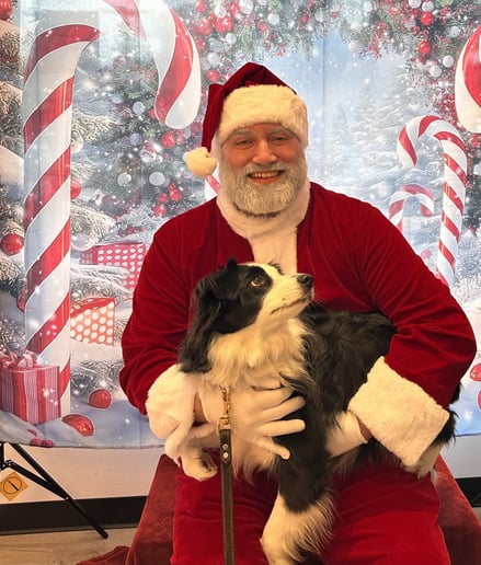 Gallery photo 8 of Santa Force