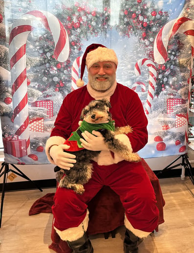 Gallery photo 9 of Santa Force