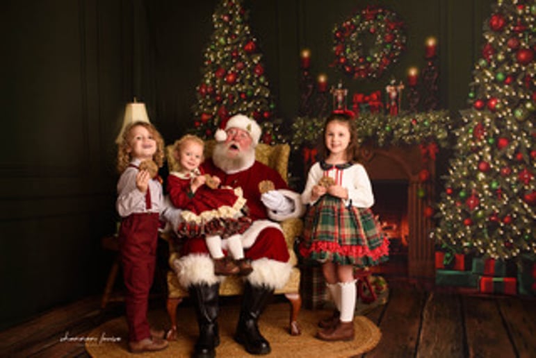 Gallery photo 3 of Santa Frank