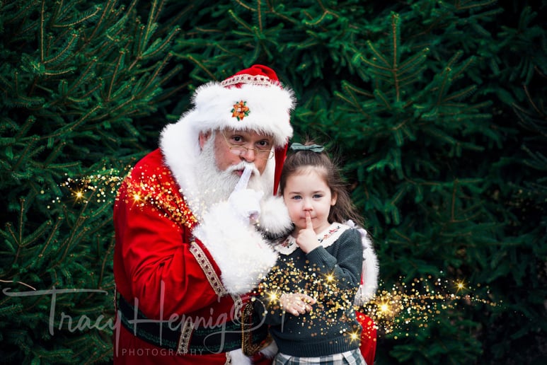 Gallery photo 9 of Santa Frank