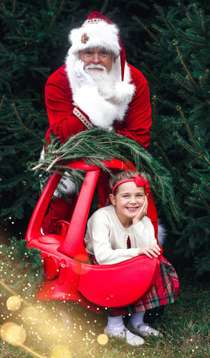 Gallery photo 10 of Santa Frank