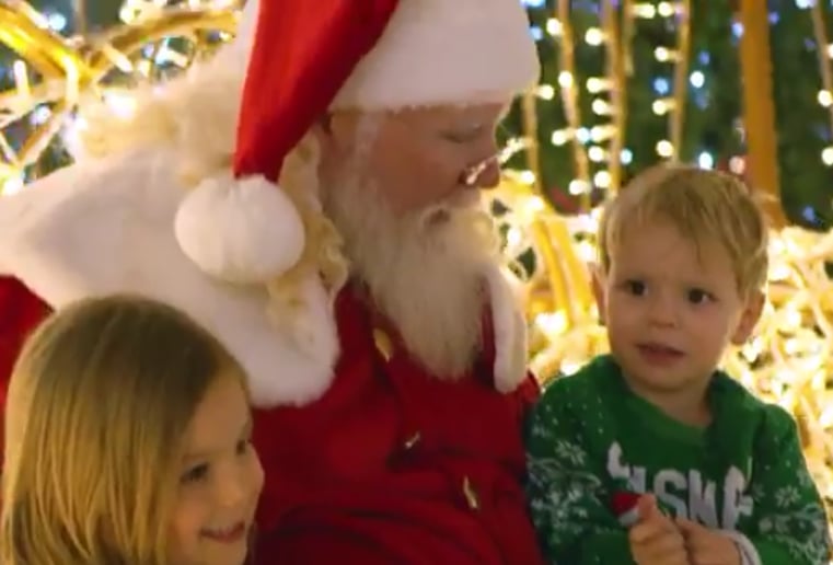 Gallery photo 2 of Santa Freddie