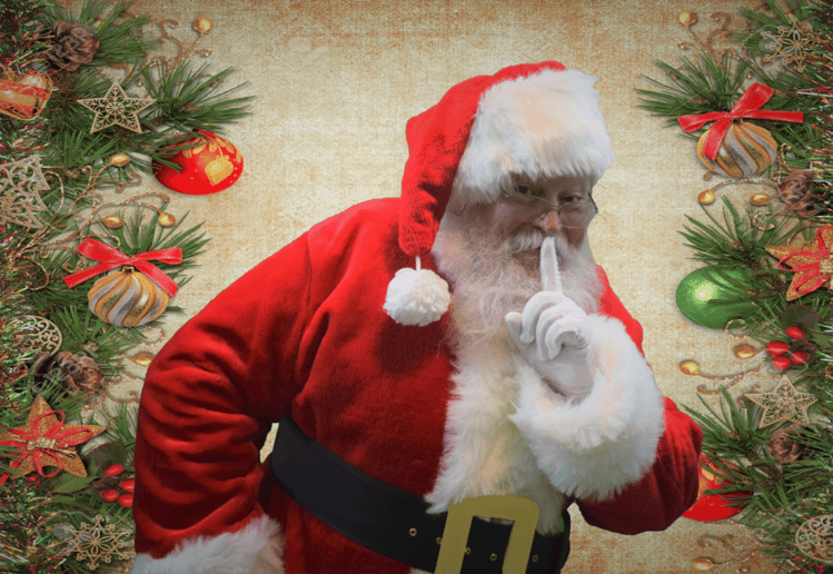 Gallery photo 8 of Santa Gary