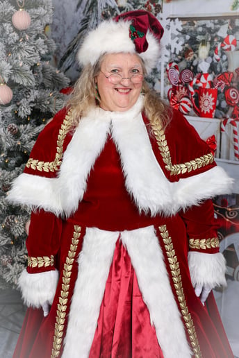 Gallery photo 23 of Santa Gary