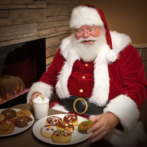 Gallery photo 5 of Santa Gee