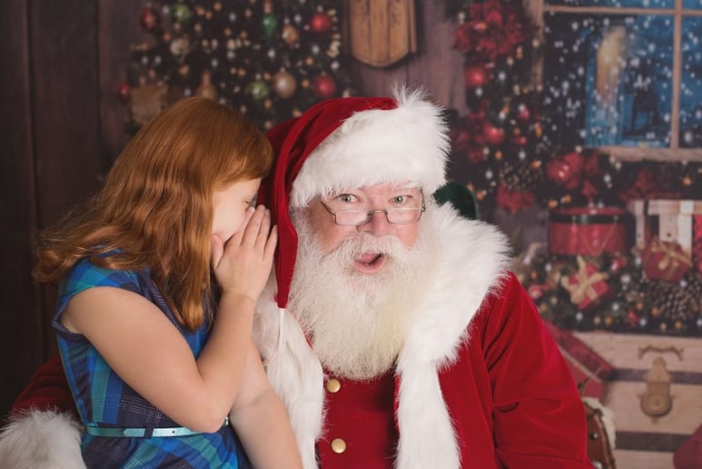 Gallery photo 12 of Santa Gee