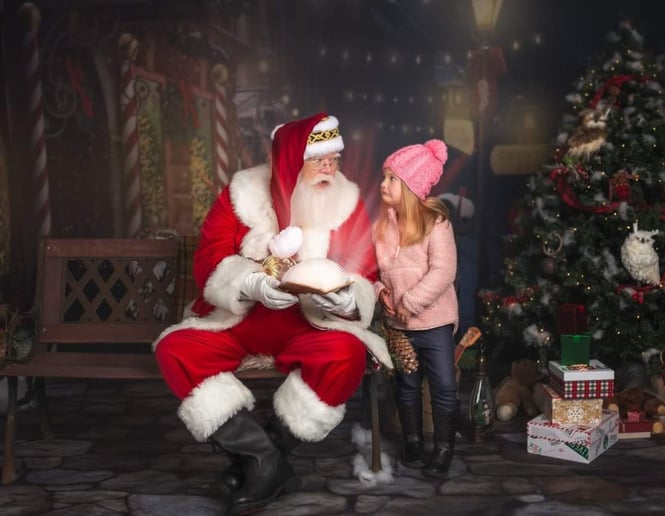 Gallery photo 29 of Santa Gee